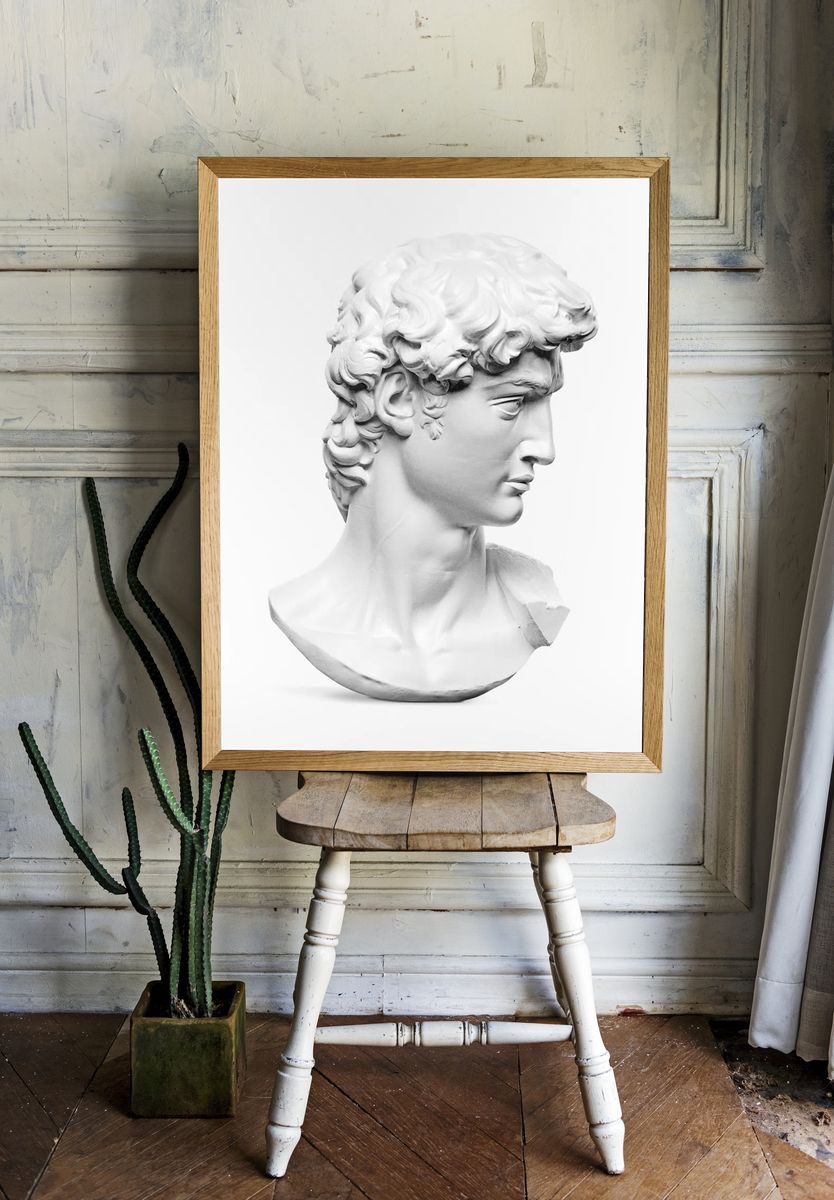 Michelangelo Buonarroti's David statue's head. room preview