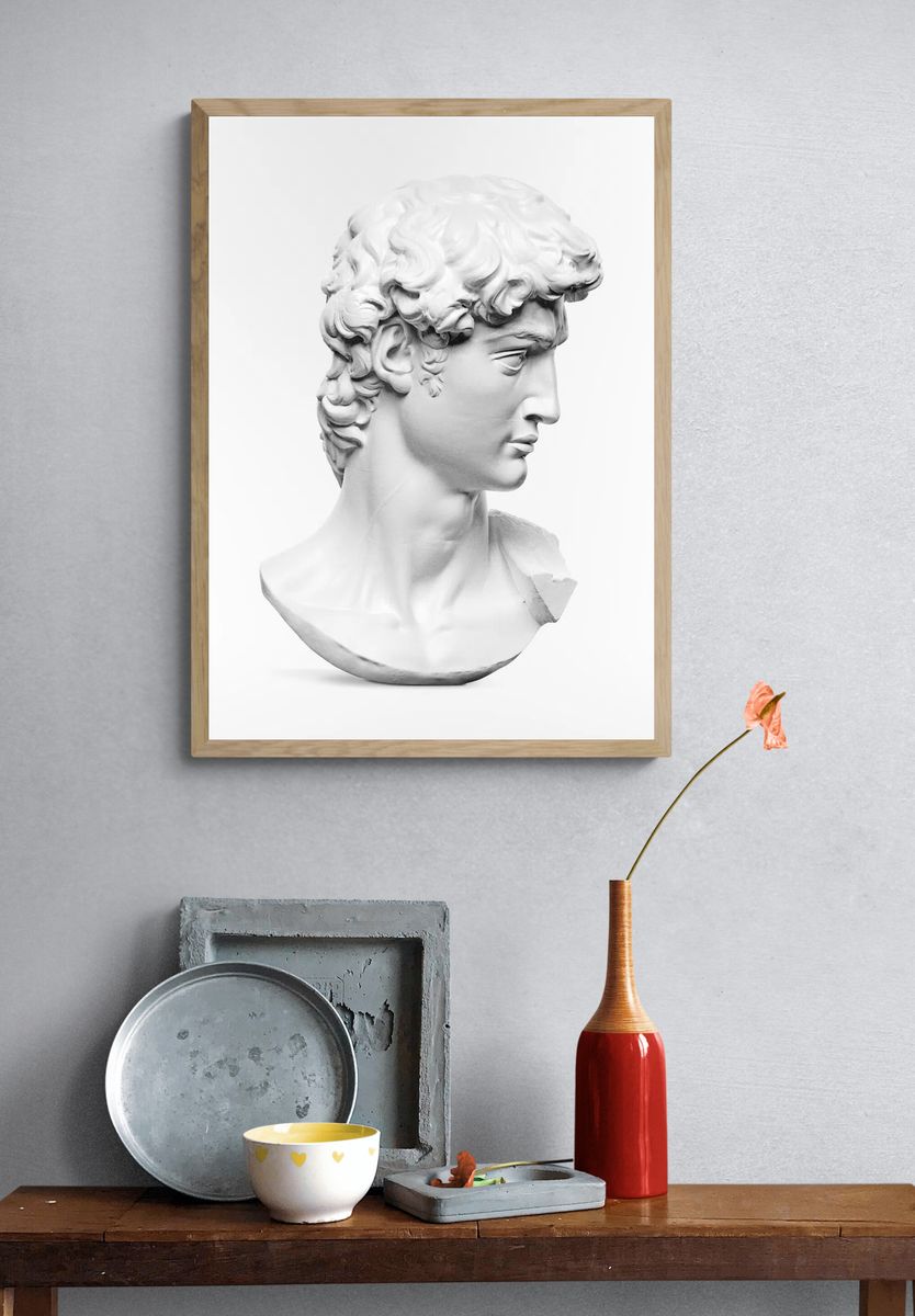 Michelangelo Buonarroti's David statue's head. — room view 3