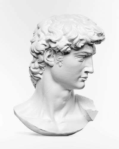 Michelangelo Buonarroti's David statue's head.