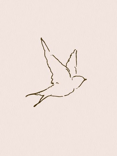 Flying Bird Line Art Poster. poster