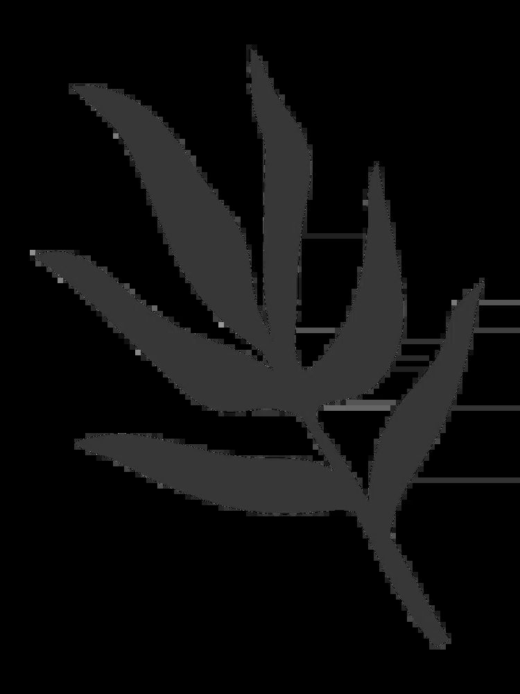 Minimalist Leaf Silhouette Poster. poster — minimalist art