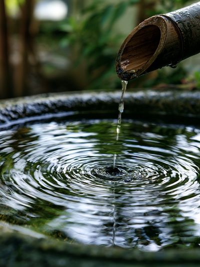 Zen Bamboo Water Ripple Print.
