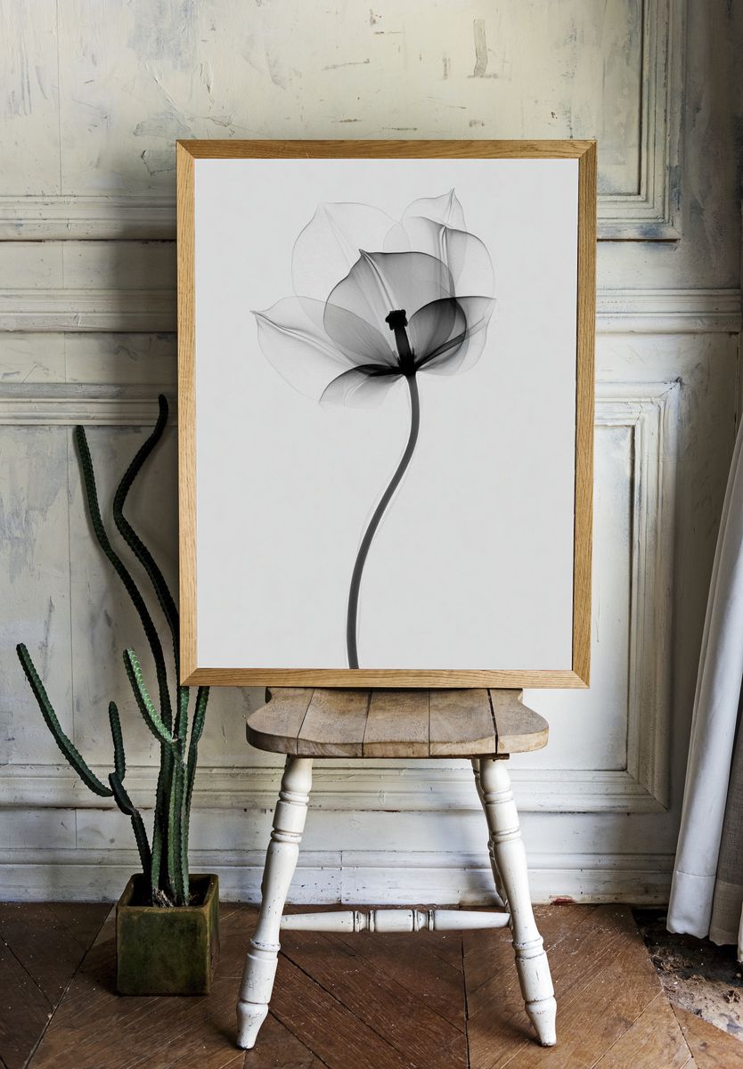 Monochrome Flower Minimalist Print. — room view 1