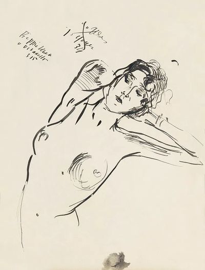Reclining Nude Line Art Poster. poster