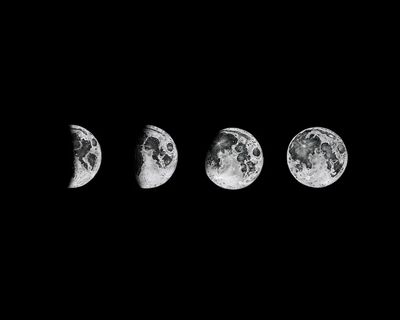 Lunar phase illustration.