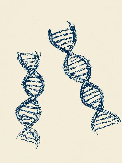 DNA Helix Minimalist Print.