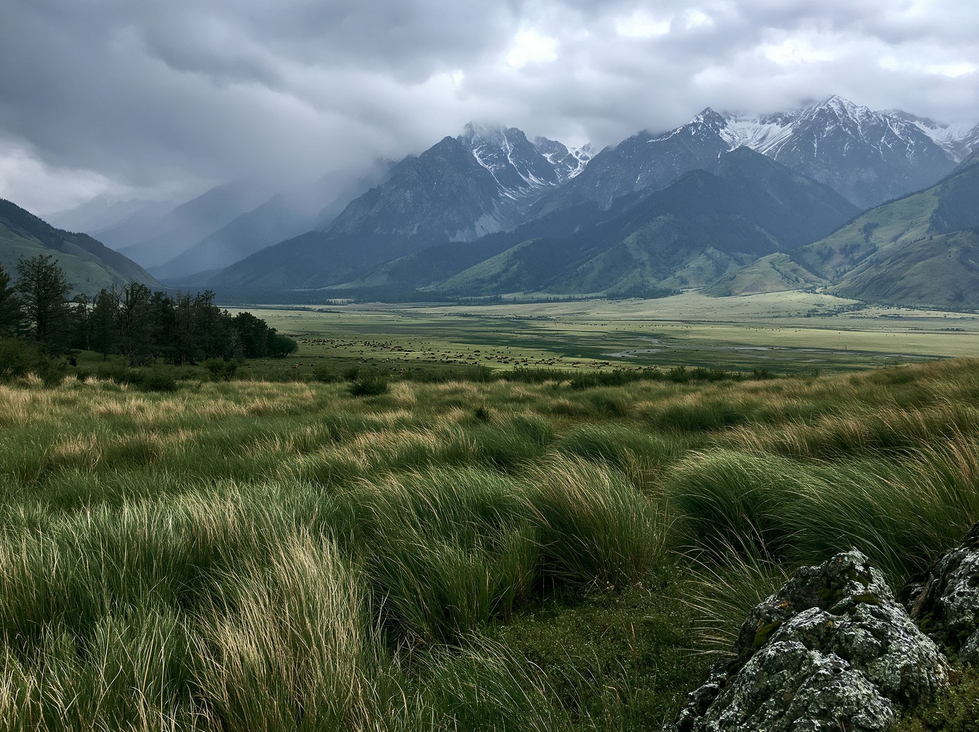Misty Mountain Valley Photography Poster. poster detail