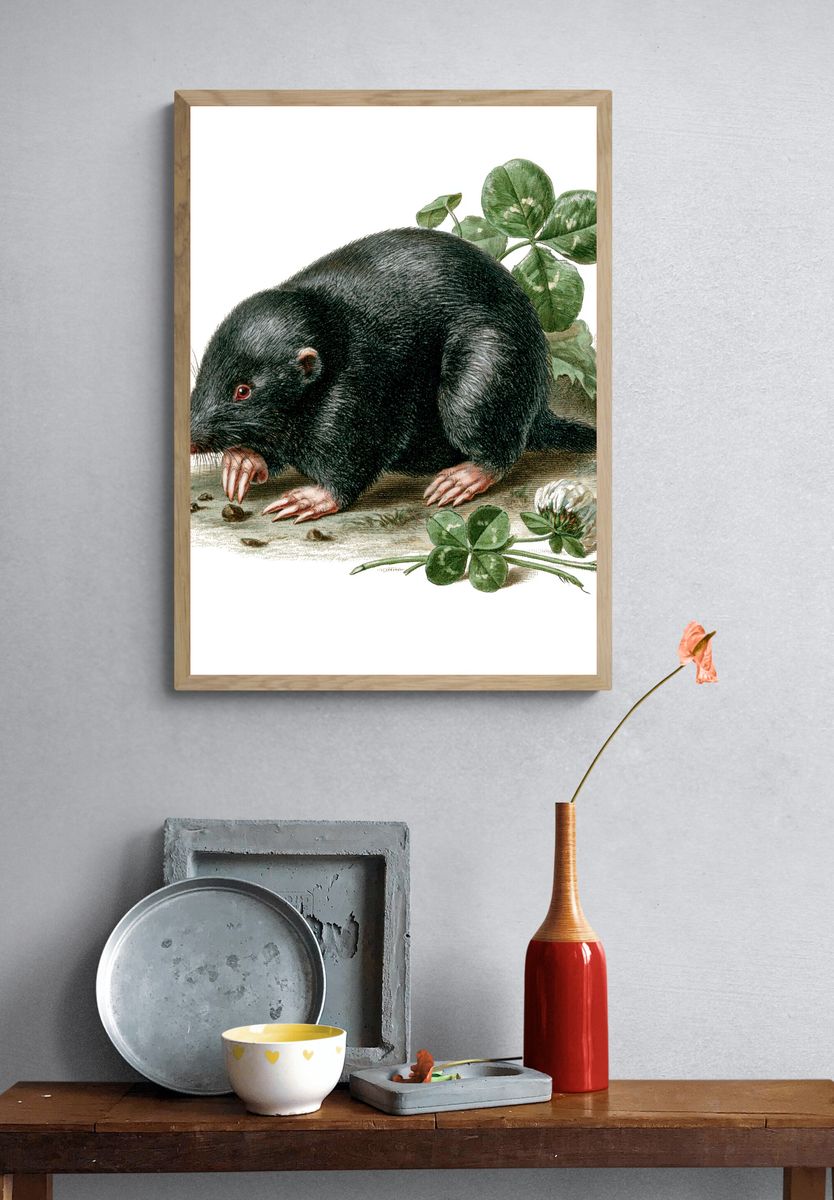 Black Mole Botanical Print. — room view 3