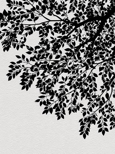 Black Tree Branches — Minimalist Print