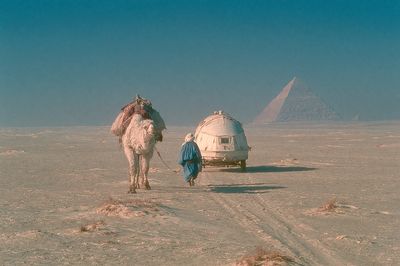 Desert Camel and Pyramid Print.