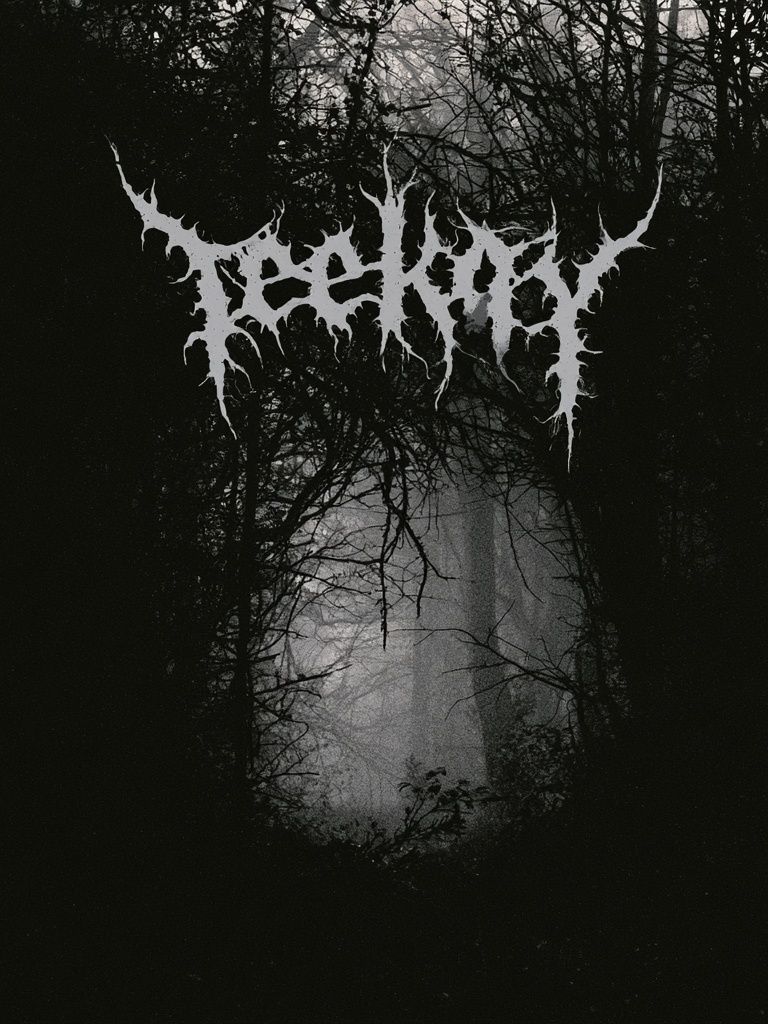 Bleak Forest Black Metal Poster. poster — music art
