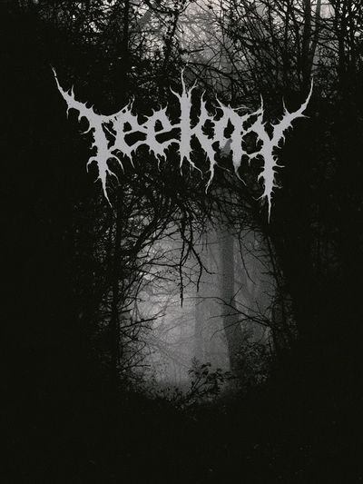 Bleak Forest Black Metal Poster. poster