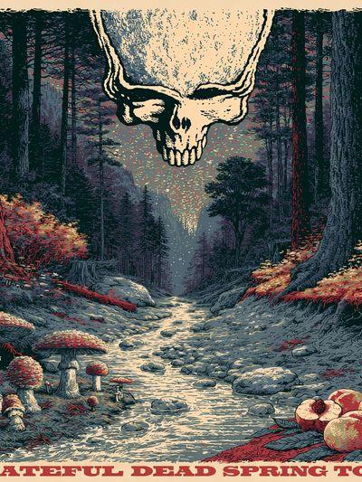 Grateful Dead Spring Tour Poster.