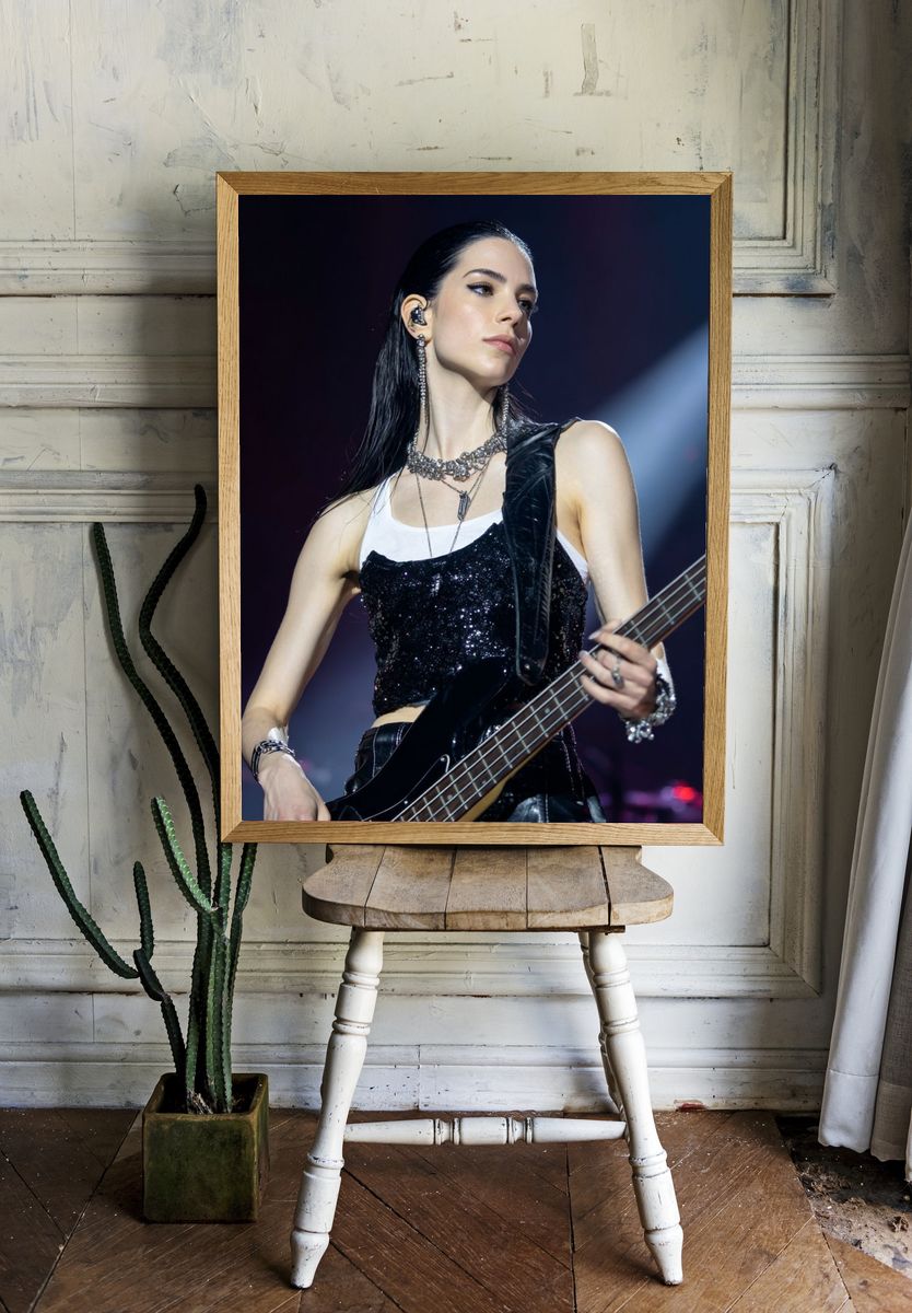 Live Concert Bassist Photography Poster. room preview