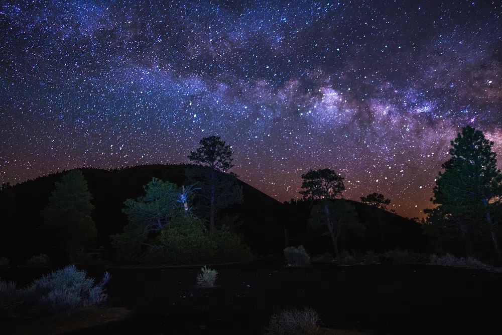 Milky Way Over Forest — Photography Print. poster detail