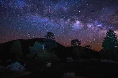 Milky Way Over Forest — Photography Print.