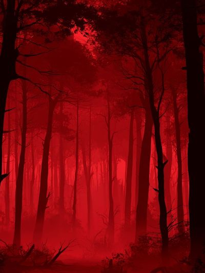Crimson Mist Forest Photography Poster.