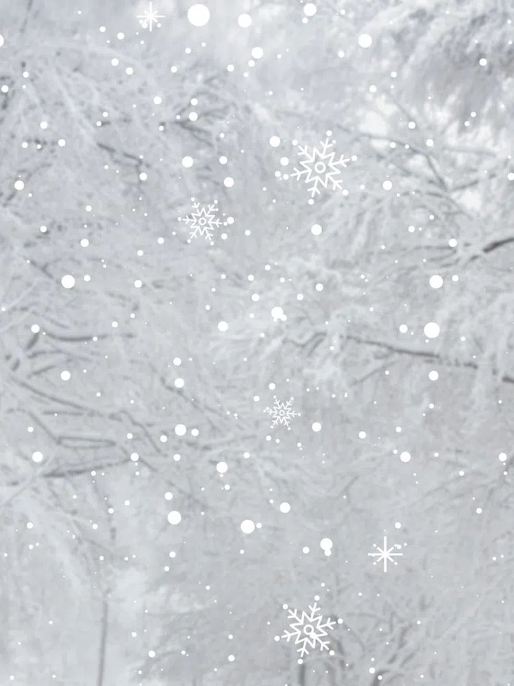 White snowy pine branch background. poster detail