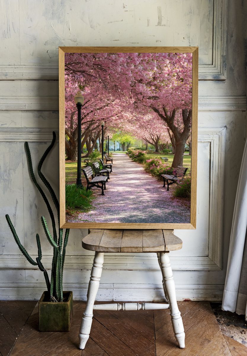 Cherry Blossom Park Path Poster. room preview