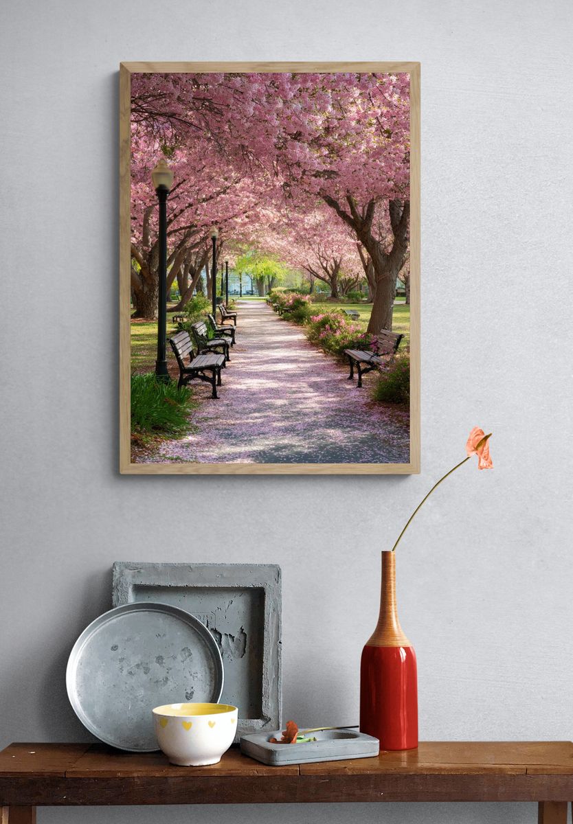 Cherry Blossom Park Path Poster. — room view 3