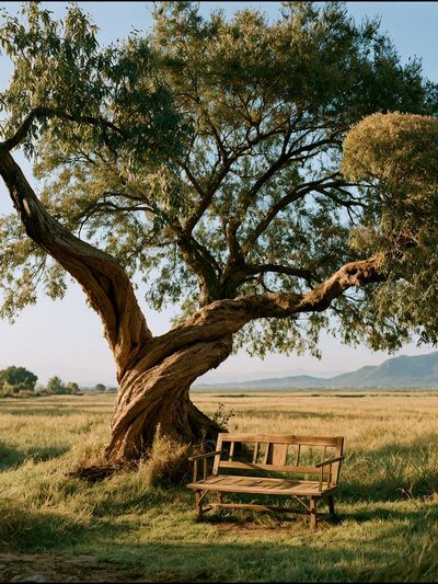 Solitary Tree Landscape Poster. poster