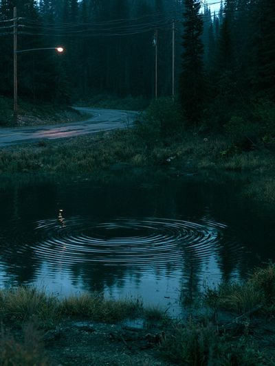 Misty Forest Road at Dusk Poster.