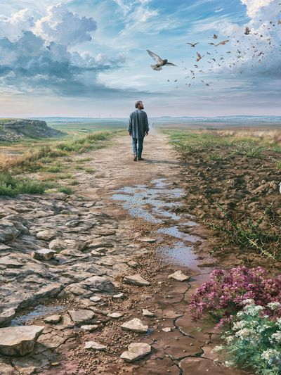 Solitary Walk in the Meadow Print.