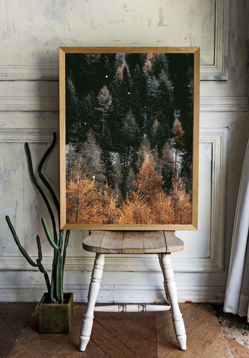 Snow in a woodland. room preview