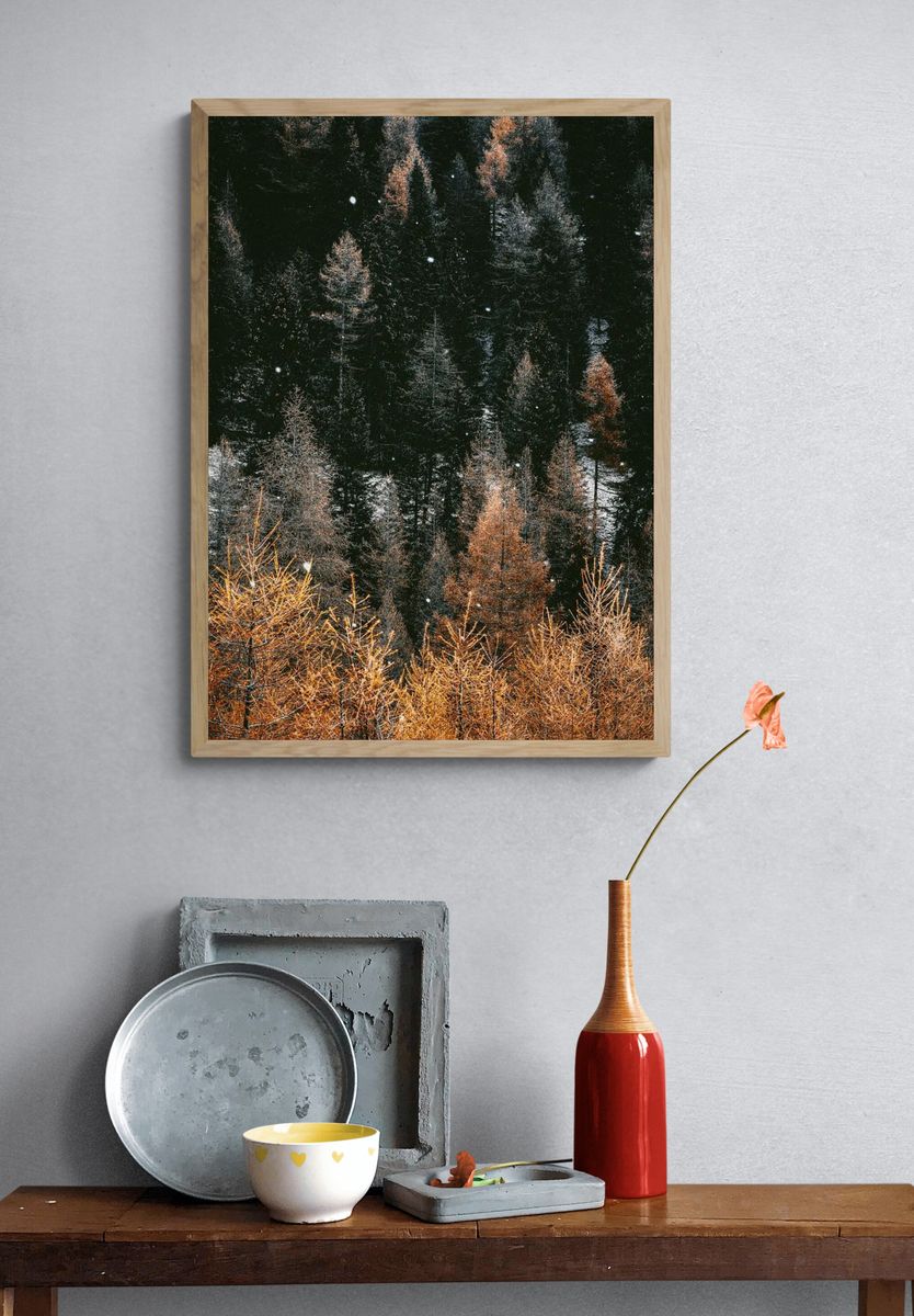 Snow in a woodland. — room view 3