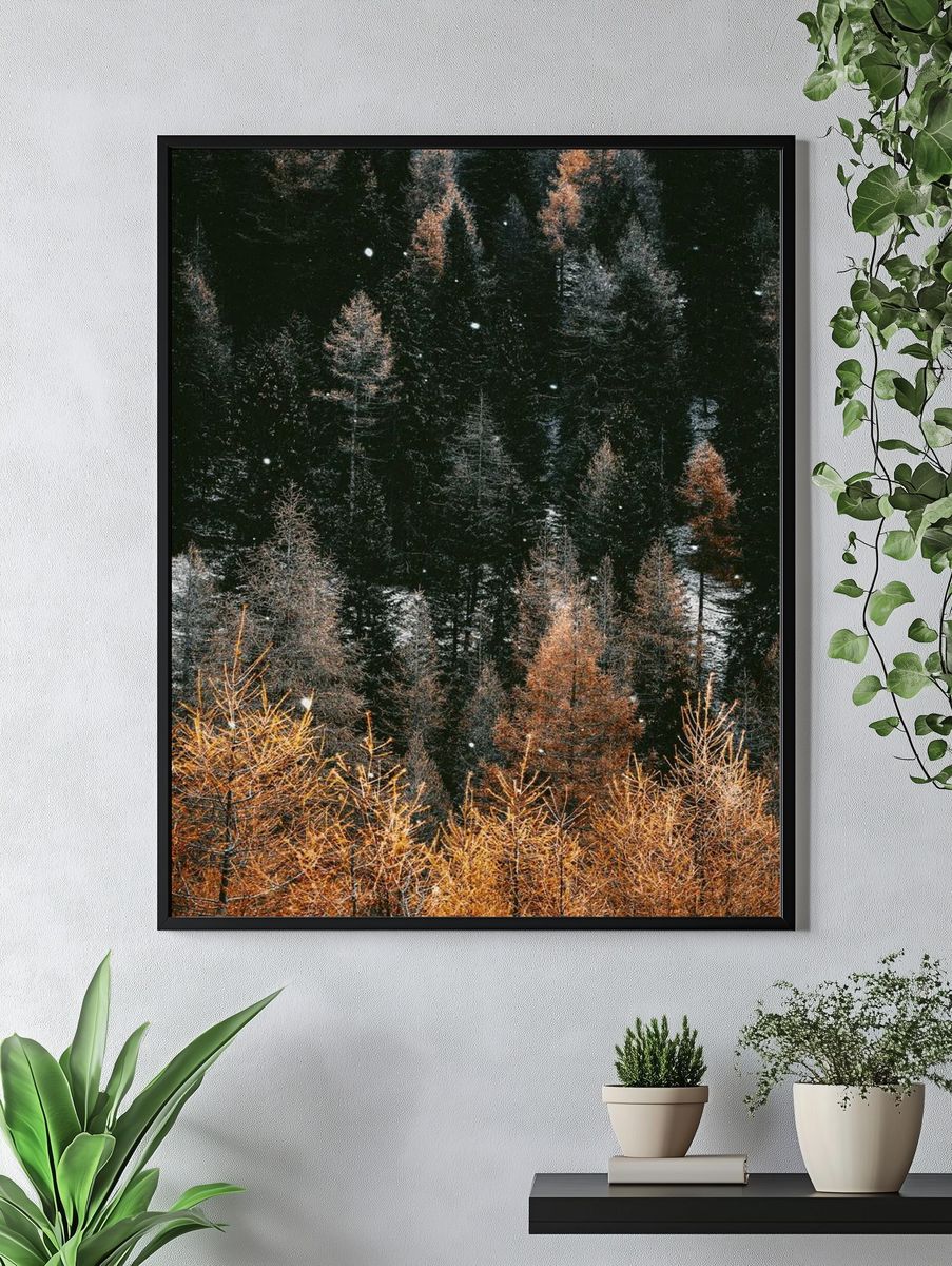 Snow in a woodland. — room view 4