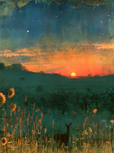 Sunset Meadow Deer Print.