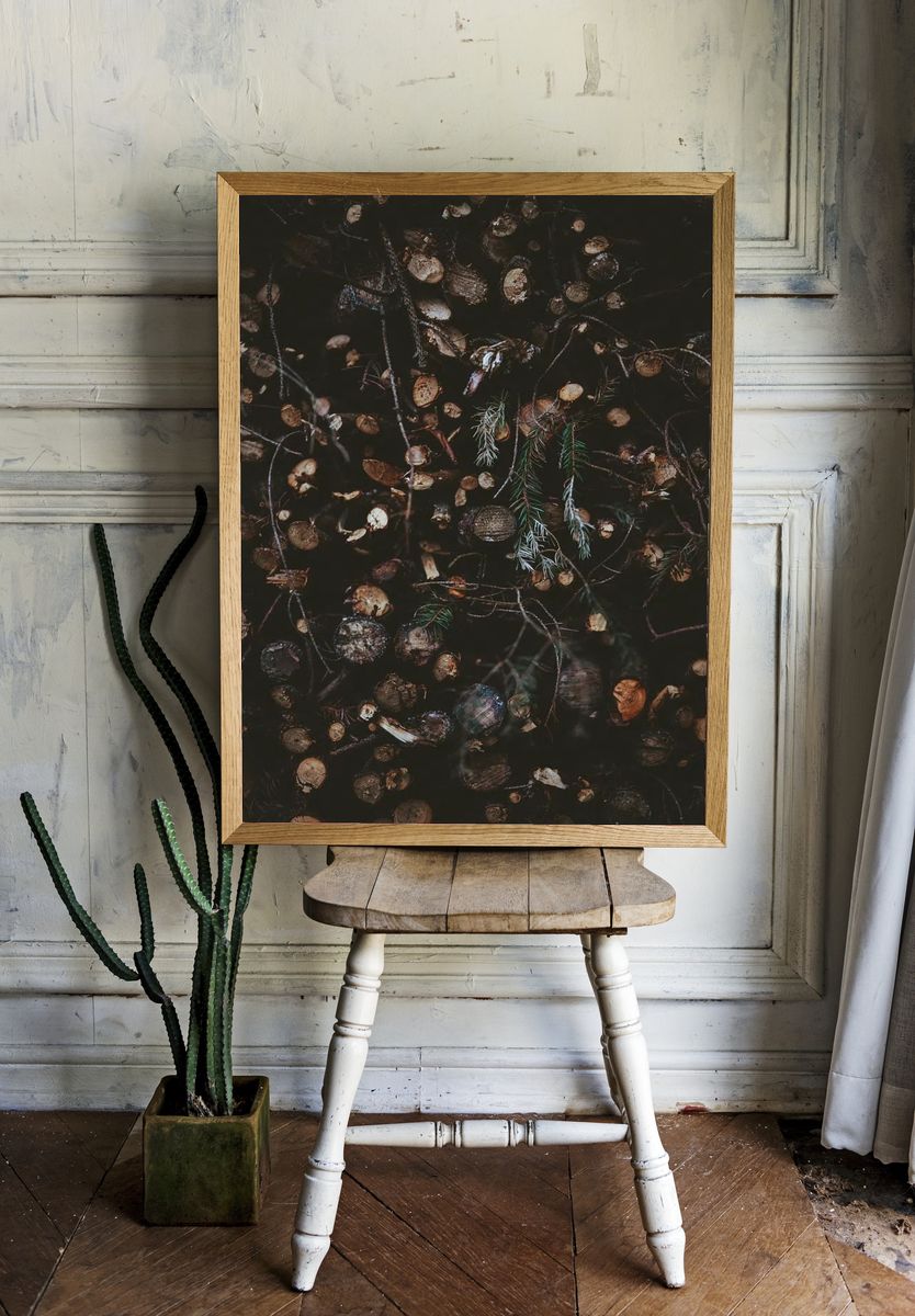 Dark Forest Floor Botanical Print. — room view 1