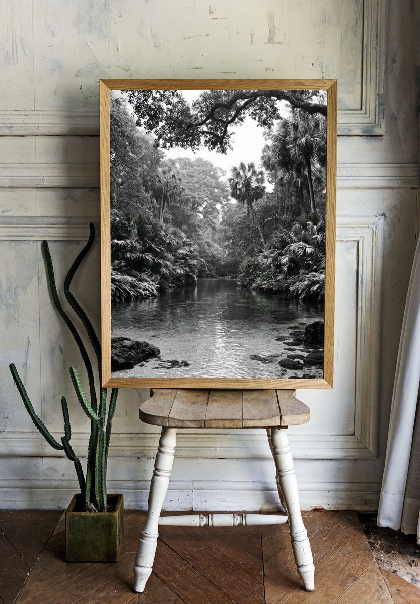 Tropical River Canopy Black-White Poster. room preview