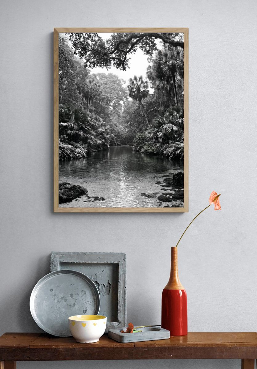 Tropical River Canopy Black-White Poster. — room view 3