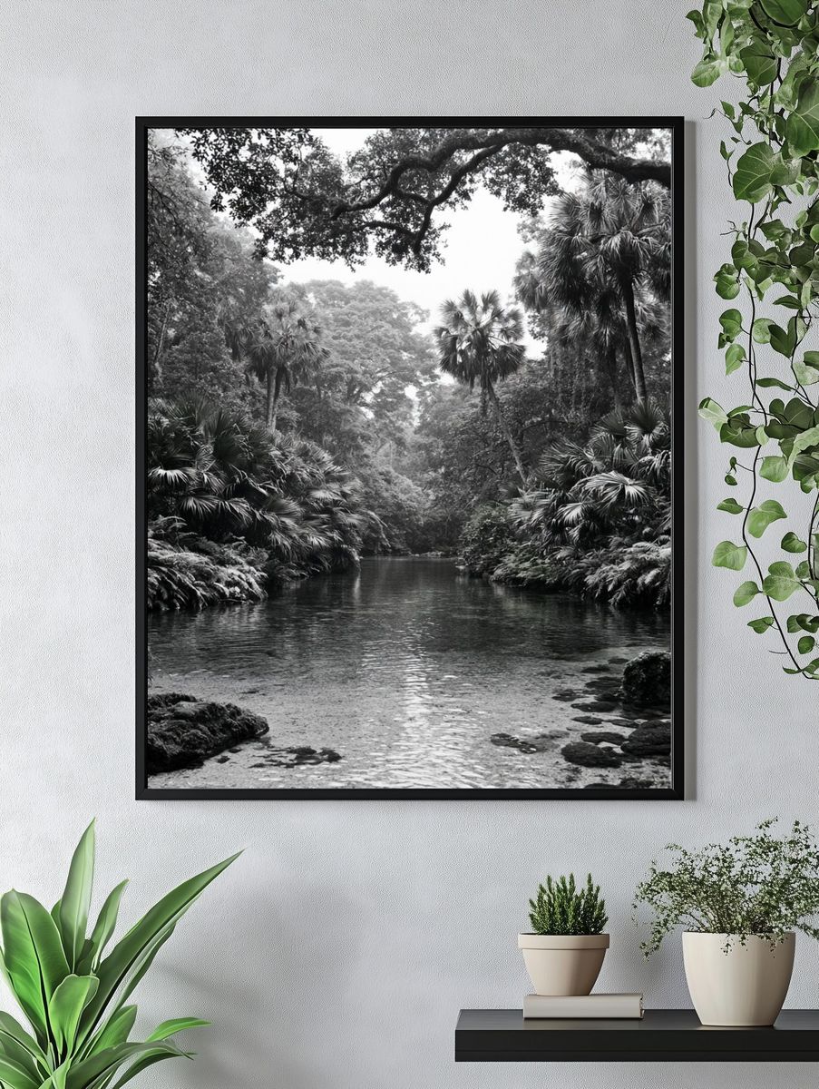 Tropical River Canopy Black-White Poster. — room view 4