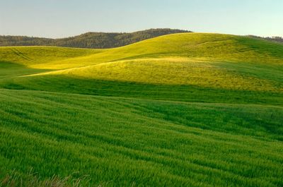 farm located Moscow, Idaho July. poster