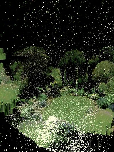 Dreamy Garden Nightscape Print.