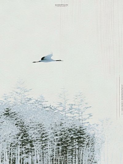 Crane Over Winter Forest Print.