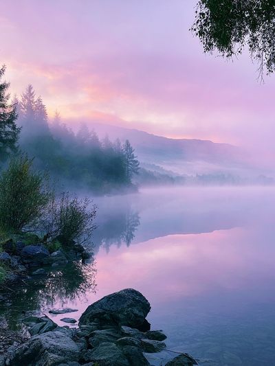 Misty Lake Sunrise Photography Poster.