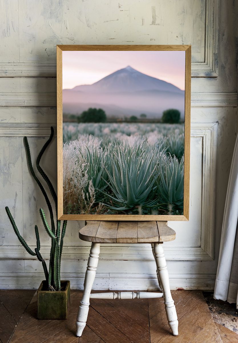 Misty Mountain Agave Landscape Poster. room preview