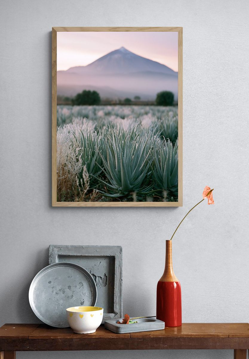 Misty Mountain Agave Landscape Poster. — room view 3