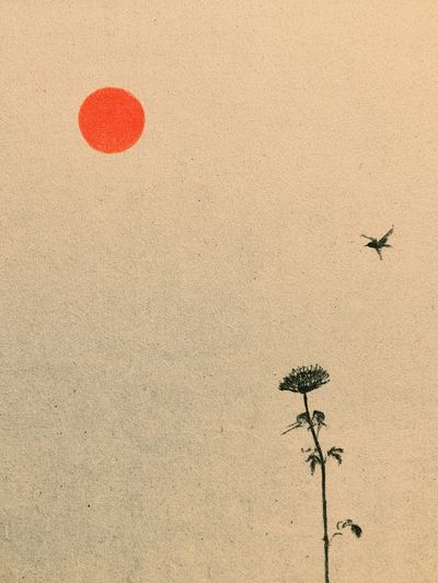 Minimal Sun and Plant Poster.