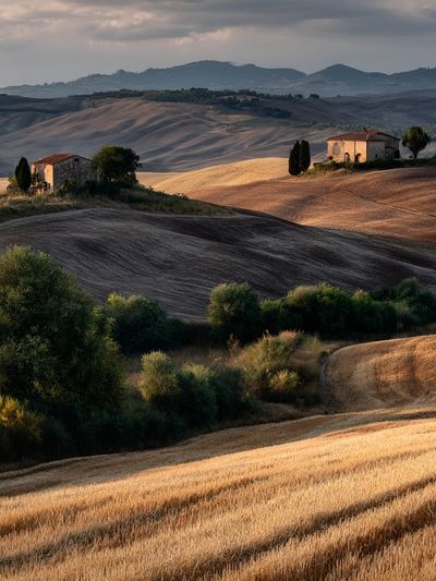 Tuscan Hills Landscape Poster.