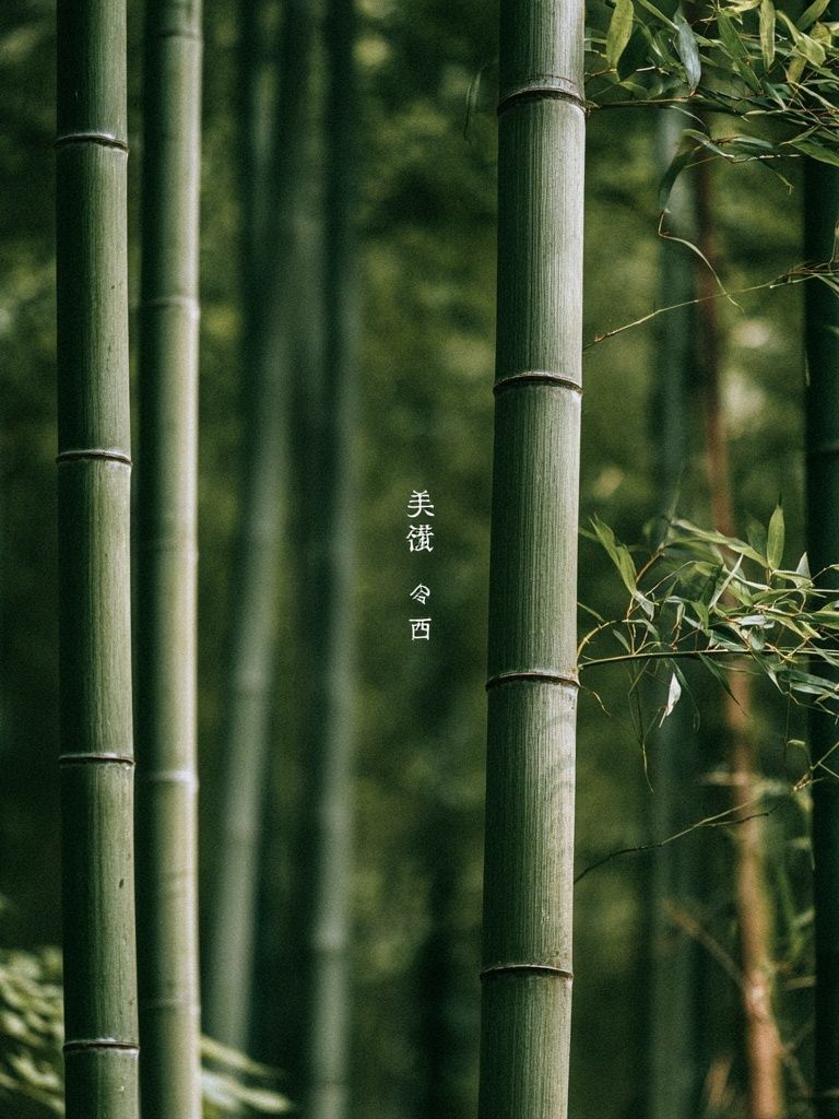 Bamboo Grove Serenity Print. poster — nature art