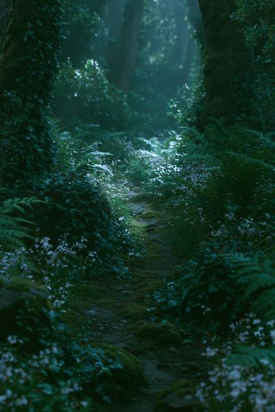 Misty Forest Path Poster.