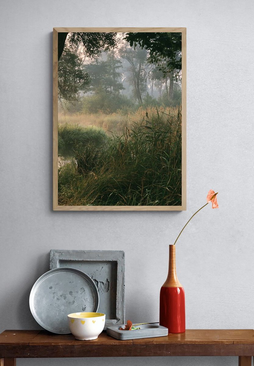 Misty Forest Meadow Poster. — room view 3