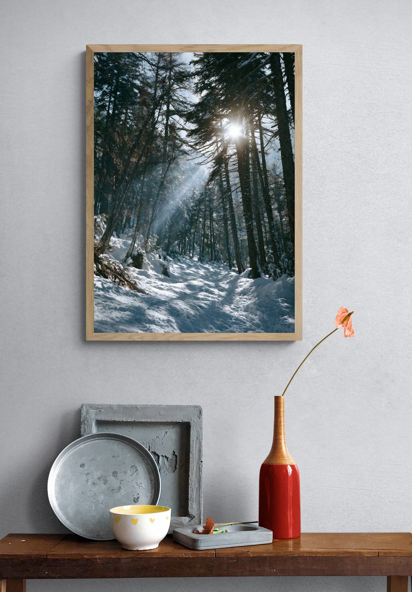 Snowy Forest Sunlight Poster. — room view 3