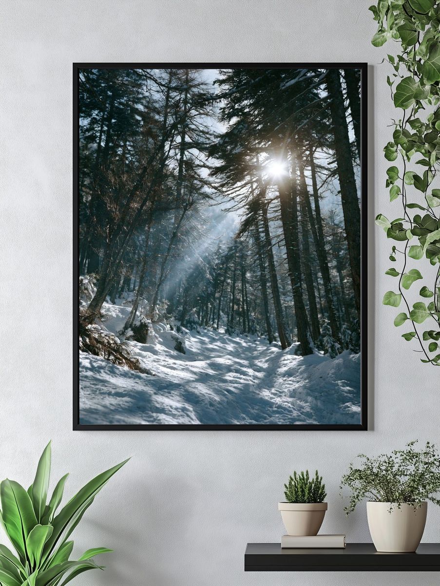 Snowy Forest Sunlight Poster. — room view 4