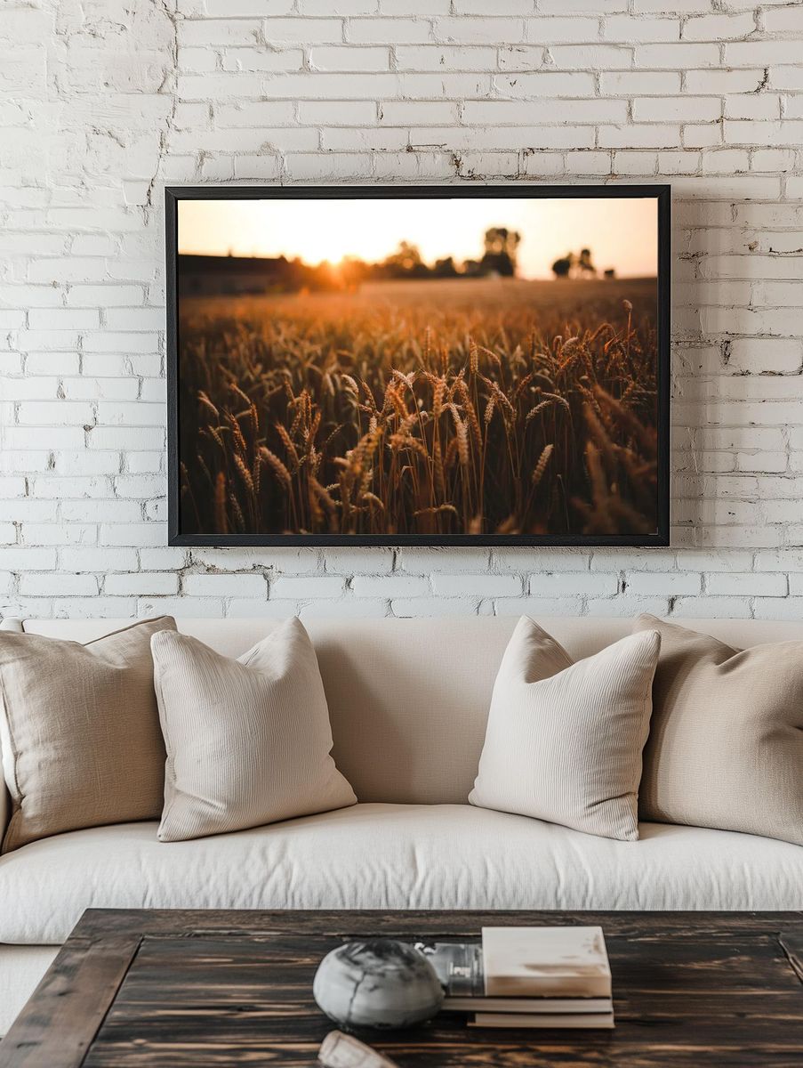 Field barley summer. Visit Kaboompics. — room view 1