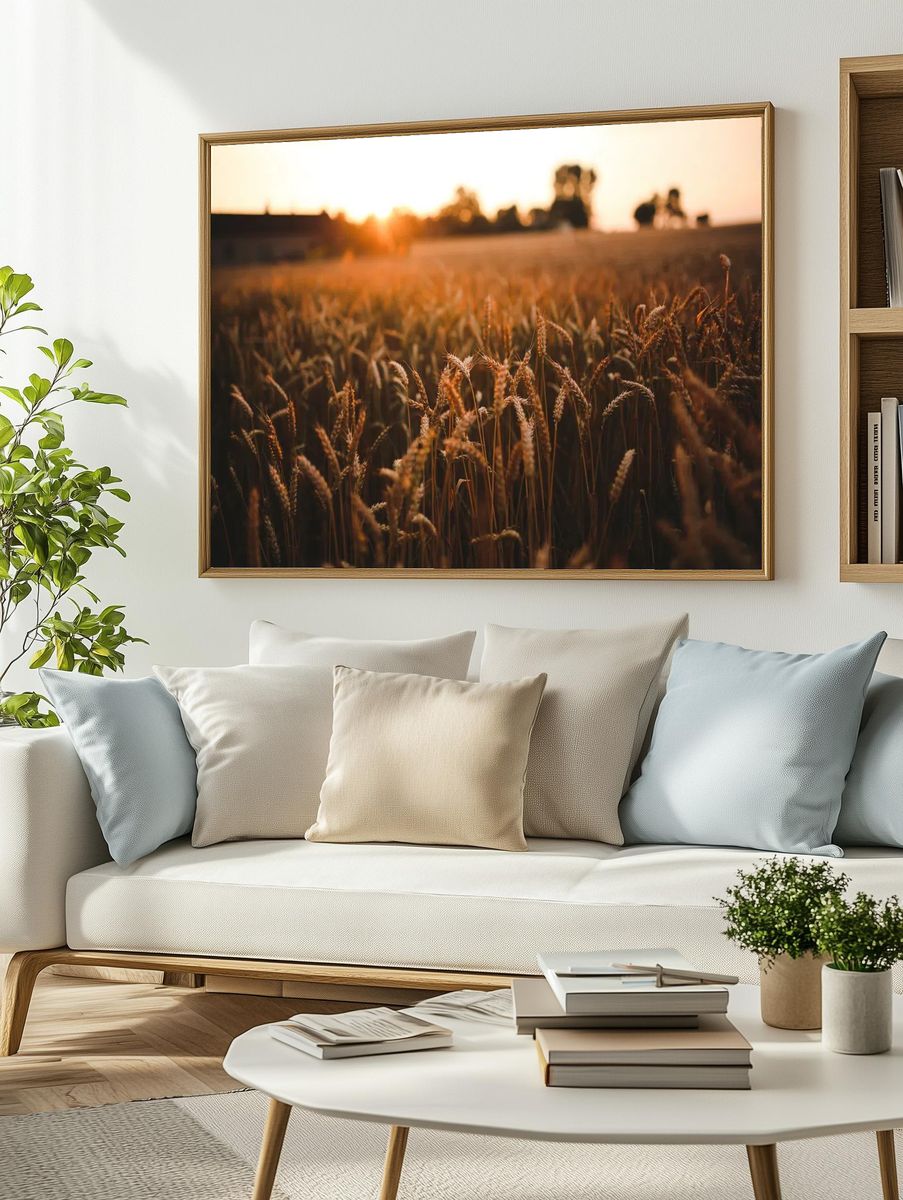 Field barley summer. Visit Kaboompics. — room view 2